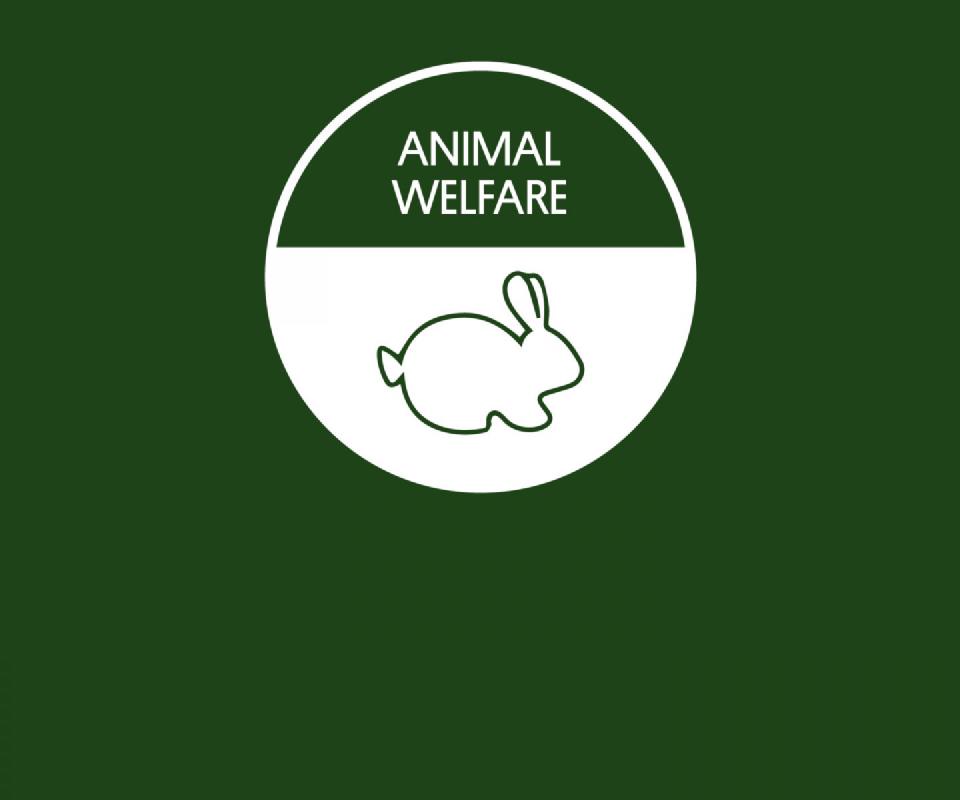 Animal Welfare