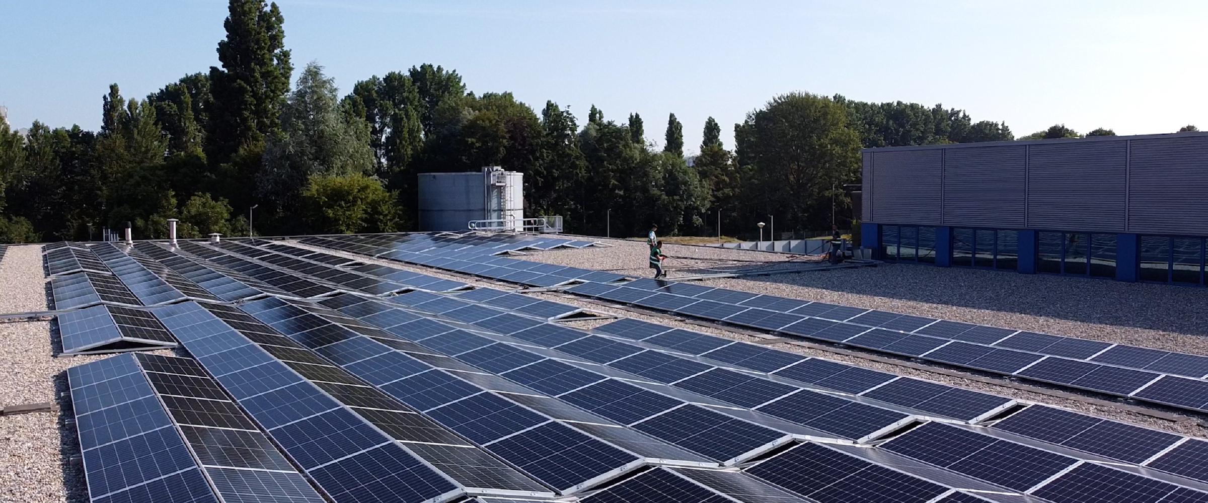 Solar panels at our Dordrecht Facility